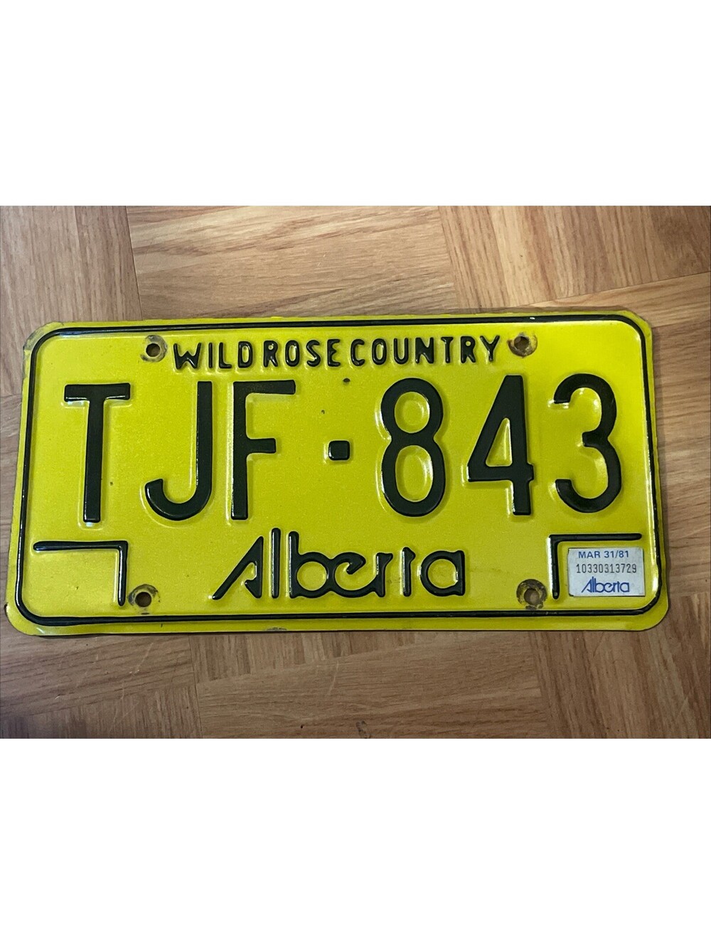 Alberta AB Canada TJF 843 License Plate 1981 Expired Canadian Wild Rose Country